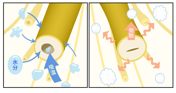 吸湿効果と速乾性のイメージ
