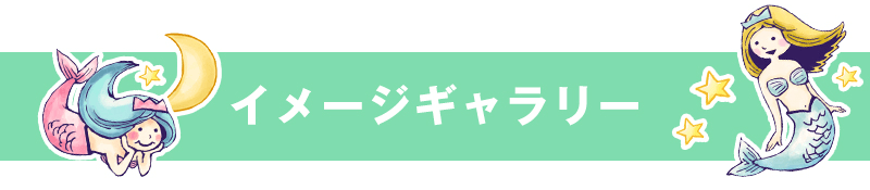 イメージギャラリー