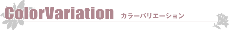 カラーバリエーション