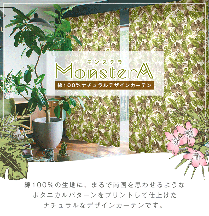 綿100 ボタニカルデザインカーテン Monstera モンステラ カーテン通販 くれない本店