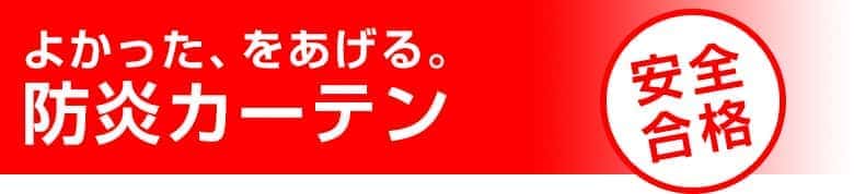 実験結果:安全合格