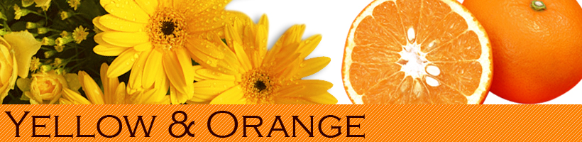 オレンジ＆イエロー｜橙色＆黄色 