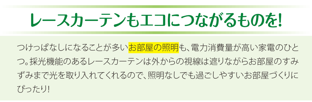 レースカーテンもエコにつながるものを！