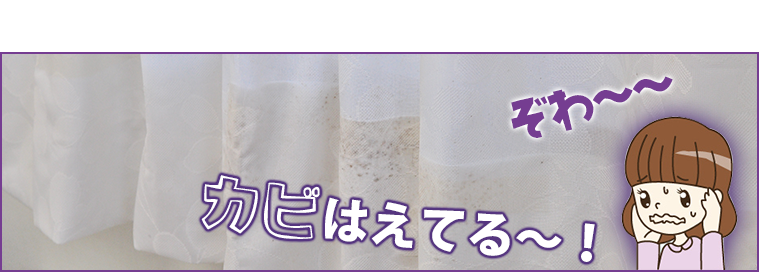 カビの生えたカーテンのイメージ