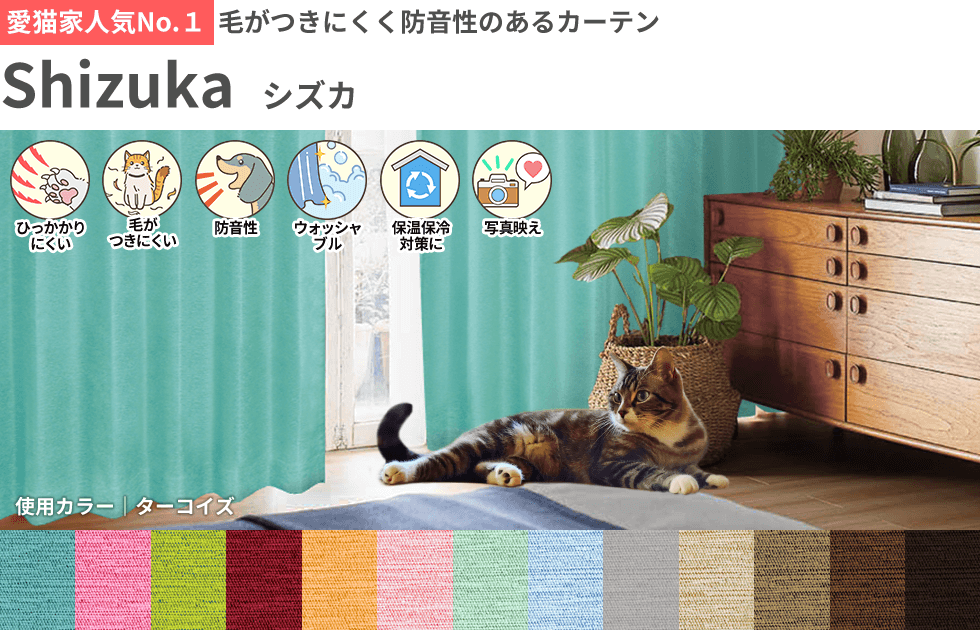 愛猫家人気No1 Shizuka