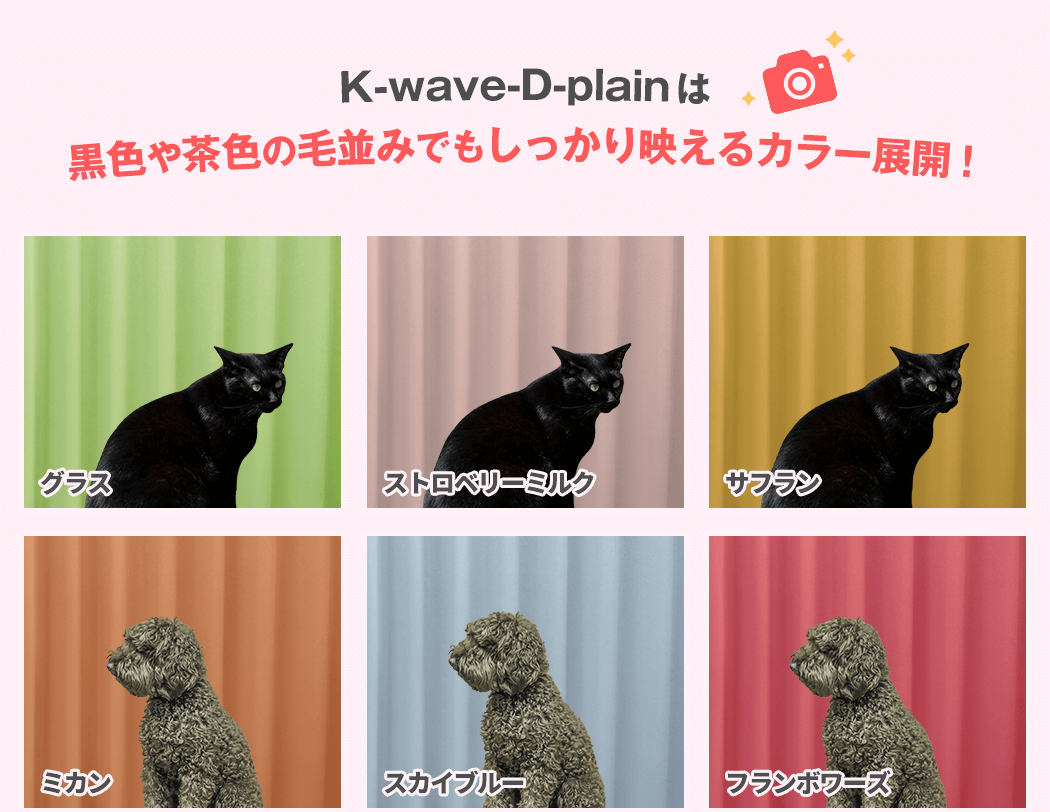 K-wave-D-plainは黒色や茶色の毛並みでもしっかり映えるカラー展開！