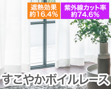 すこやかボイルレース