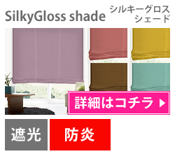 SilkyGloss Shade（シルキーグロスシェード）